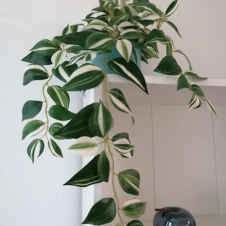 L'atypique Saumurois Apartment